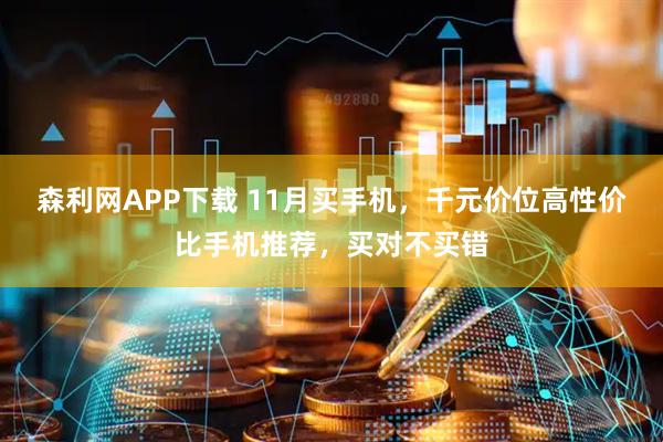 森利网APP下载 11月买手机，千元价位高性价比手机推荐，买对不买错