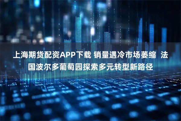 上海期货配资APP下载 销量遇冷市场萎缩  法国波尔多葡萄园探索多元转型新路径