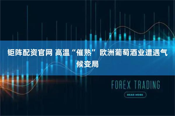 钜阵配资官网 高温“催熟” 欧洲葡萄酒业遭遇气候变局