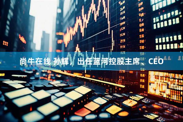 尚牛在线 孙辉，出任蓝河控股主席、CEO